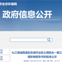 設計年通過能力600萬噸！江西九江一碼頭工程即將開建