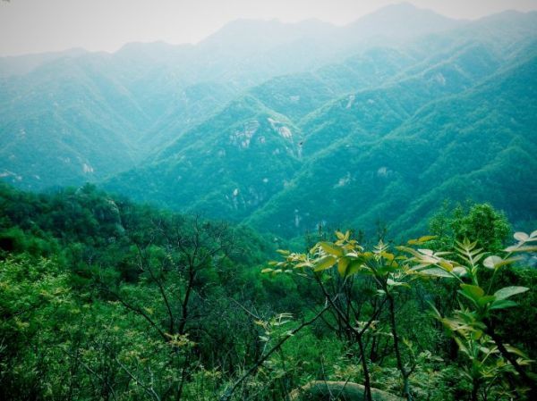 湖南嚴控采砂場使用林地審批 使用結(jié)束后一年內(nèi)需復綠